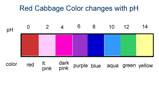 for test litmus water paper distilled colors acid scale base lab pH cabbage red